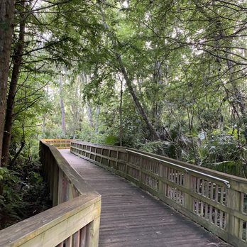 Cradle Creek Preserve - Nice open boardwalks for a large part of the trail - Parks Near Me - Jacksonville Beach, Florida