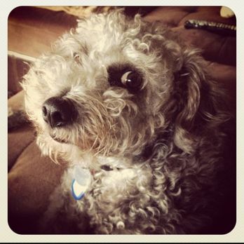 AquaCrossings - Pet Cremation Services Near Me - Tempe, Arizona
