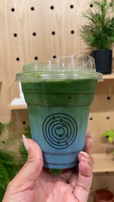 Grounded: Plant Shop, Cafe, & Wellness Studio by null