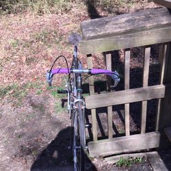 Trek Bicycle Raleigh Holly Park - Work done by them. Converted handlebar.