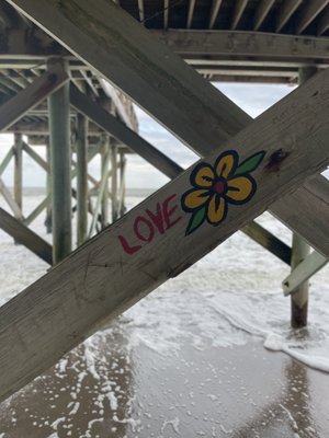 Coot's Bar & Grill by null