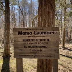 Mama Loumari