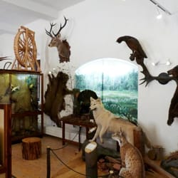 Schloss Schlettau - Zur Lehrausstellung Wald und Wiese gibt es einen ausführlichen EIntrag von UpaHeinz