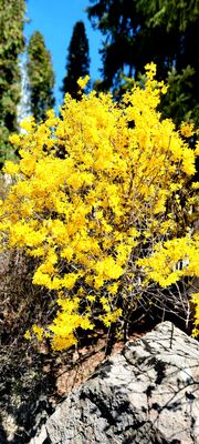 Kasugai Gardens by null