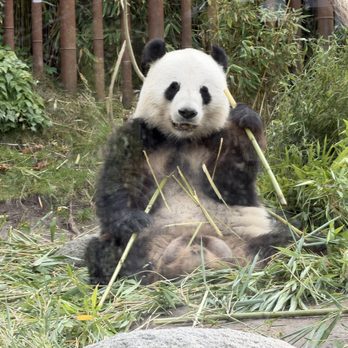 Zoologisk Have - Having lunch - Zoos Near Me - Frederiksberg, 84