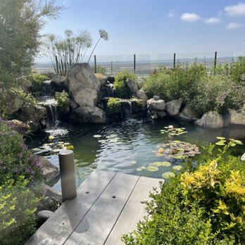 Beach Cities Aquatics - HB acct. - Aquarium Services Near Me Beach Cities Aquatics - HB acct. - Aquarium Services Near Me