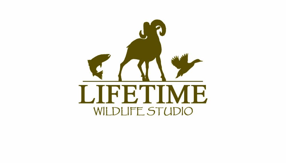 Lifetime Wildlife Studio - taxidermy in Tillamook, OR