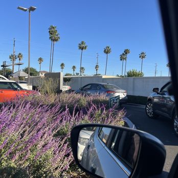 Better Buzz Coffee - Coffee & Tea Near Me - San Jacinto, California Better Buzz Coffee - Coffee & Tea Near Me - San Jacinto, California