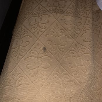 Howard Johnson by Wyndham Bartonsville/Poconos Area - Don't know what this is on the bedspread - Hotels Near Me - Bartonsville, Pennsylvania Howard Johnson by Wyndham Bartonsville/Poconos Area - Don't know what this is on the bedspread - Hotels Near Me - Bartonsville, Pennsylvania