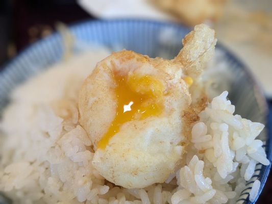 Tendon Tempura Carlos Jr by null