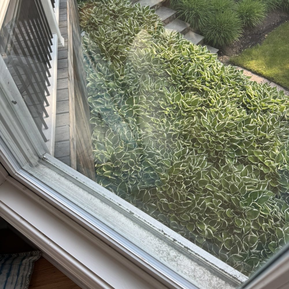 Upstate Pressure Cleaning - Pictures of windows not done. - Pressure Washers Near Me Upstate Pressure Cleaning - Pictures of windows not done. - Pressure Washers Near Me