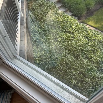 Upstate Pressure Cleaning - Pictures of windows not done. - Pressure Washers Near Me
