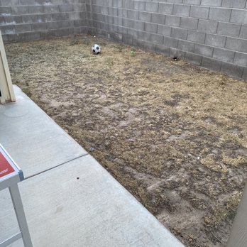 Jireh Lawn Maintenance - Before - Landscaping Near Me Jireh Lawn Maintenance - Before - Landscaping Near Me