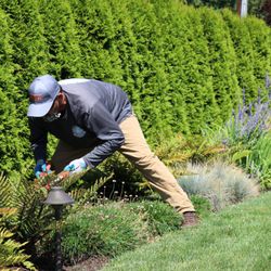 I DO YARD Maintenance