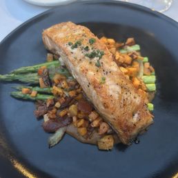 Salmon