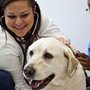 Photo of West Trenton Animal Hospital