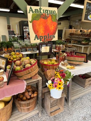 Montgomery Place Orchards by null