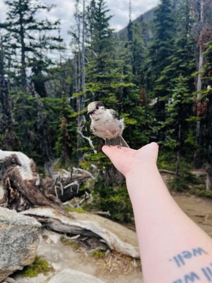 Colchuck Lake by null