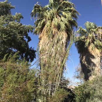 29 Palms Inn - Hotels Near Me - Twentynine Palms, California 29 Palms Inn - Hotels Near Me - Twentynine Palms, California