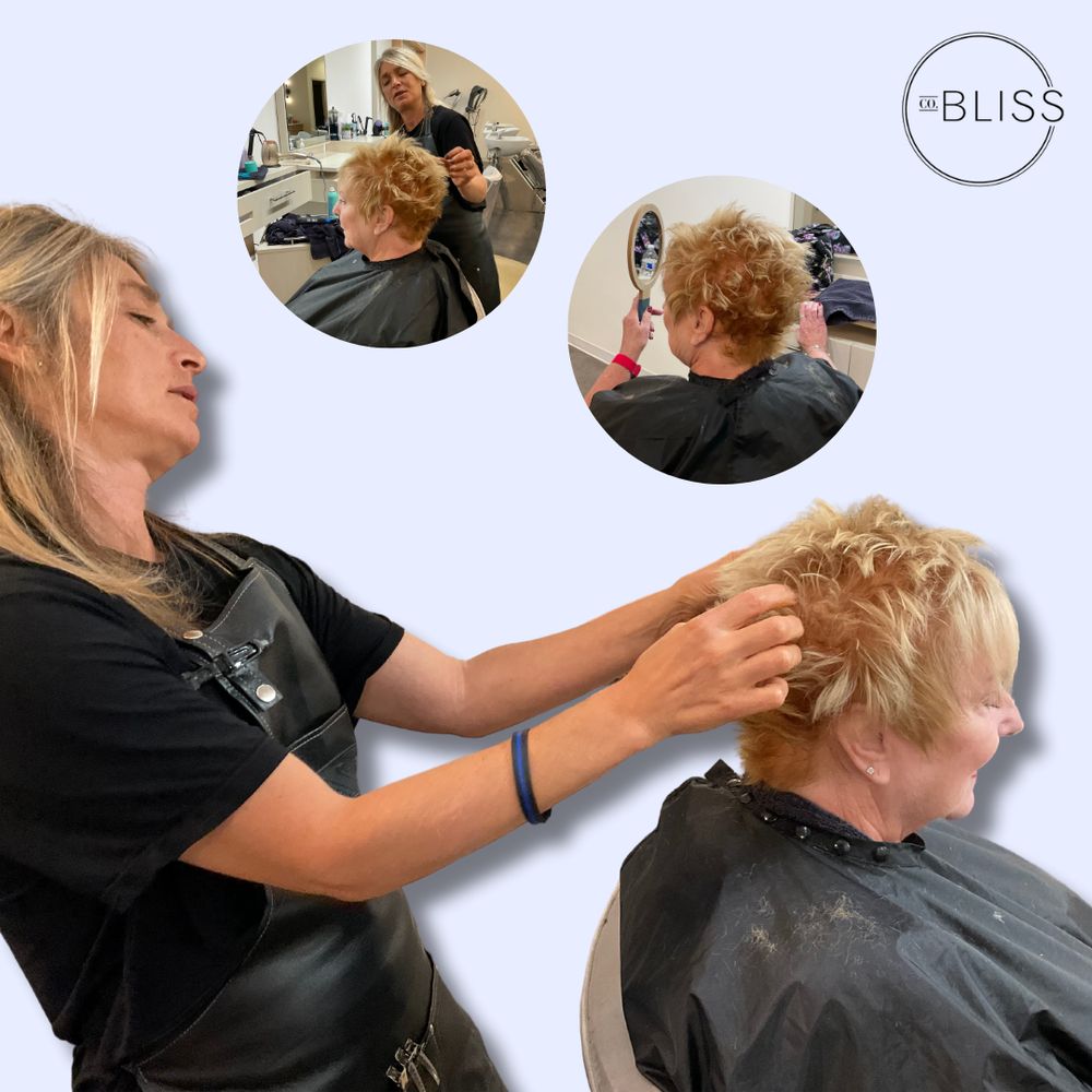 Company Bliss Salon Logo