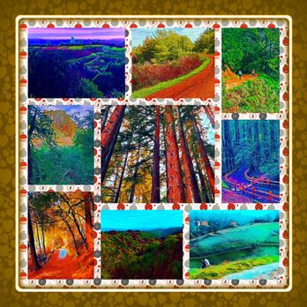 Roberts Regional Recreation Area - Montage of images from Roberts Regional Recreational Area - Parks Near Me - Oakland, California
