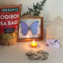 Shalom Deep Therapy - Complimentary organic rooibos tea (with option of raw honey) with every treatment.