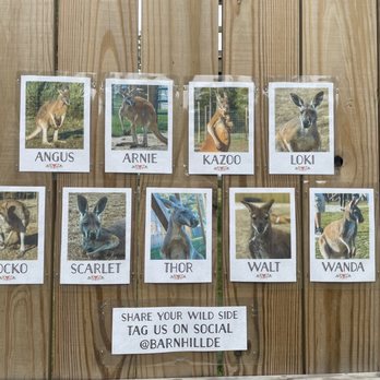 Coastal Wilds - Petting Zoos Near Me - Frankford, Delaware