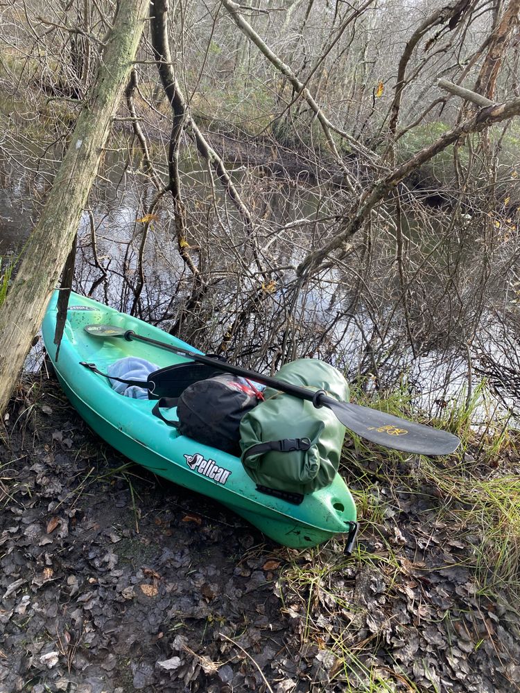 JERSEY DEVIL MARINA Updated September 2024 11 Photos 1118 County Rd 542, Egg Harbor City