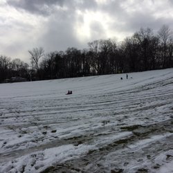 Cameron Field