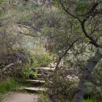 Montezuma Well - Landmarks & Historical Buildings Near Me - Rimrock, Arizona
