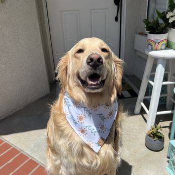 Candaces Pet Care Center - Pet Groomers Near Me - Riverside, California