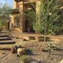 Photo of Mazier Cesar Landscaping