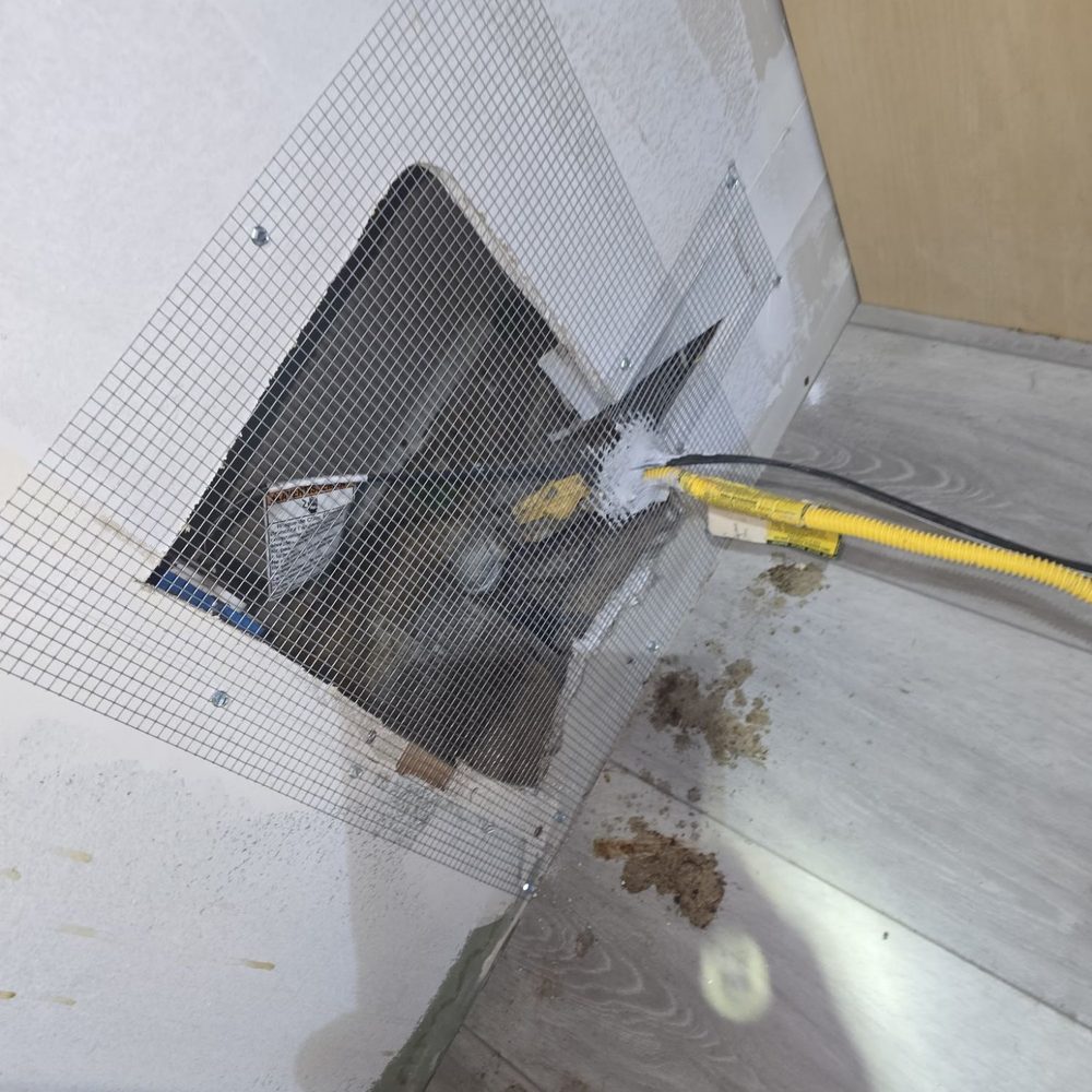 LA Rodents Control - Pest Control Near Me