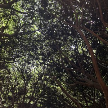 Azul - Ceiling - Mexican Near Me - Ciudad de México, DIF