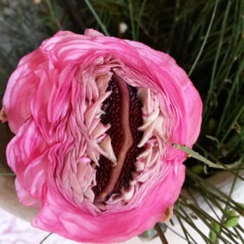Blumen am Bundesplatz - Florists Near Me - Berlin, BE Blumen am Bundesplatz - Florists Near Me - Berlin, BE