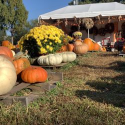Apex Farmers Market