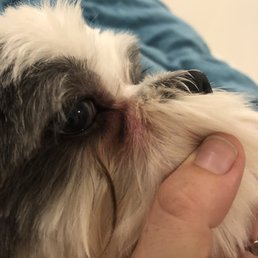 Irritated below eye