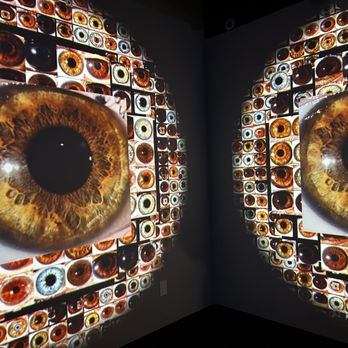 WNDR Museum - My eyeballs - Art Museums Near Me - Boston, Massachusetts
