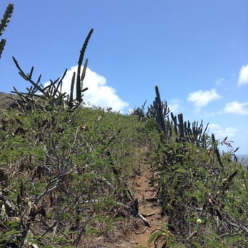Koko Crater Arch Trail - watch out for the cacti & branches!!!!! - Hiking Near Me - Honolulu, Hawaii Koko Crater Arch Trail - watch out for the cacti & branches!!!!! - Hiking Near Me - Honolulu, Hawaii