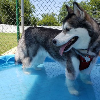 Keenum-Shelton Dog Park - Dog Parks Near Me - Lake Worth, Texas Keenum-Shelton Dog Park - Dog Parks Near Me - Lake Worth, Texas
