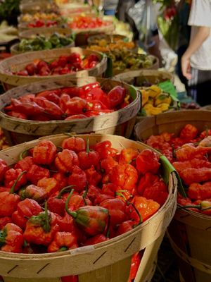Grand Army Plaza Greenmarket by null