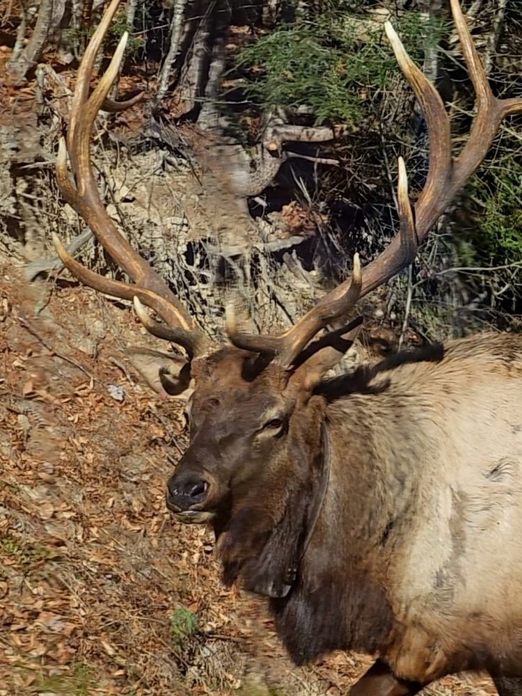 Slide of CE Campbell Plumbing & Heating