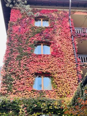 The Albereta Relais & Chateaux by null