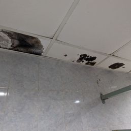 Bathroom Ceiling Mold Bathroom Ceiling Mold