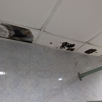 Peking Restaurant - Bathroom Ceiling Mold - Buffets Near Me - Williamsburg, Virginia Peking Restaurant - Bathroom Ceiling Mold - Buffets Near Me - Williamsburg, Virginia