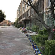 lycee 小野瀬