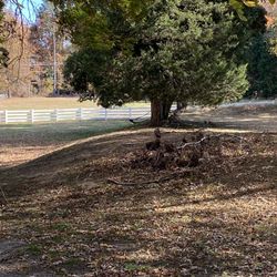 Lee Hall Mansion - Civil War redoubt.