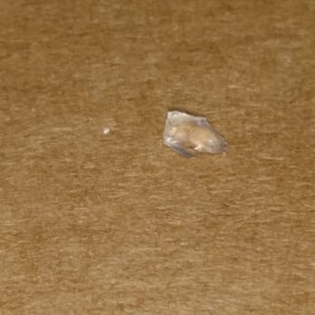 Sajouna Cafe - I found glass in Baklava that was pre packaged. Contacted Sajouna through the website. No reply. - Cafes Near Me - Dearborn Heights, Michigan Sajouna Cafe - I found glass in Baklava that was pre packaged. Contacted Sajouna through the website. No reply. - Cafes Near Me - Dearborn Heights, Michigan