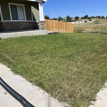 Thunder Basin Hydroseed - a view of a yard - Landscaping Near Me - Gillette, Wyoming Thunder Basin Hydroseed - a view of a yard - Landscaping Near Me - Gillette, Wyoming