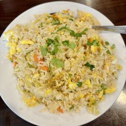 Nirvana Indian Restaurant - Nirvana Indian Restaurant Myrtle Beach, SC_Yelp_Sanju-6 [Egg fried rice: simple yet tasty]
